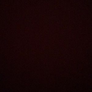 Meet your Posher, Savannah